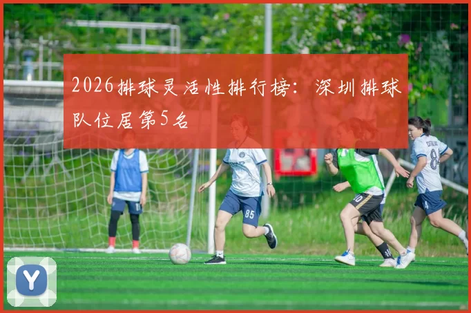 2026排球灵活性排行榜：深圳排球队位居第5名