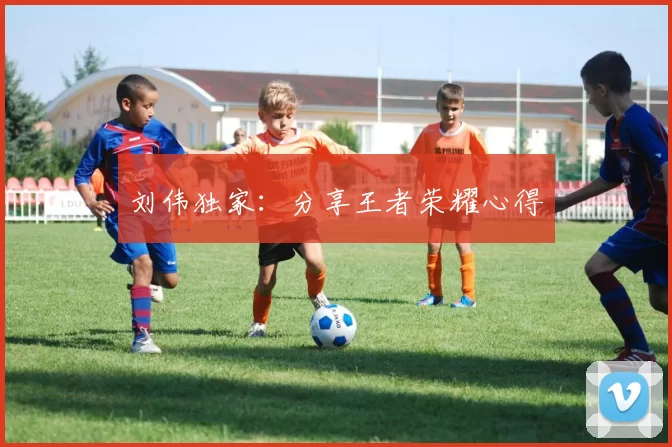 刘伟独家：分享王者荣耀心得